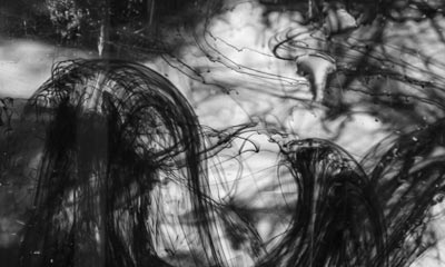 Exposición Una comunidad en resonancia