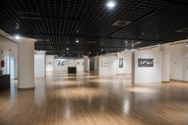 Exposición Penagos.JPG