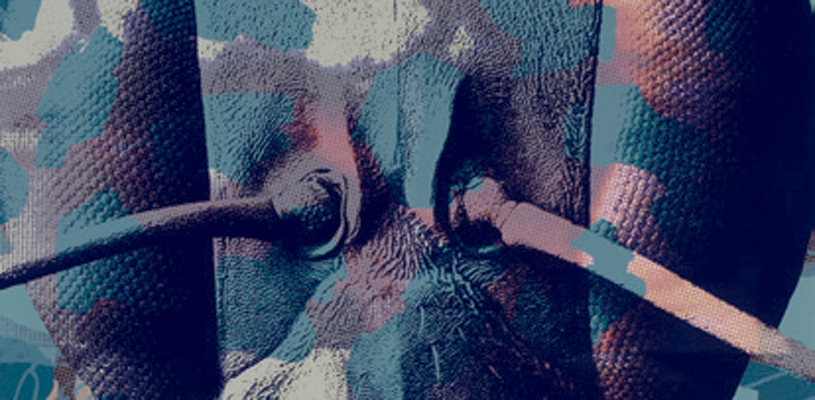 Obra de la exposíción