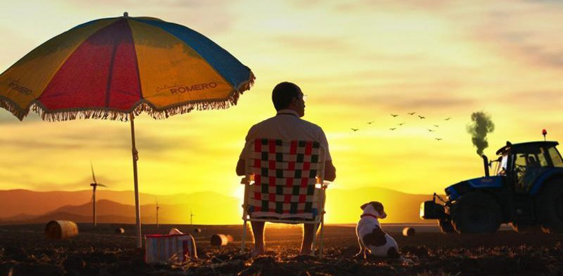 Historias lamentables