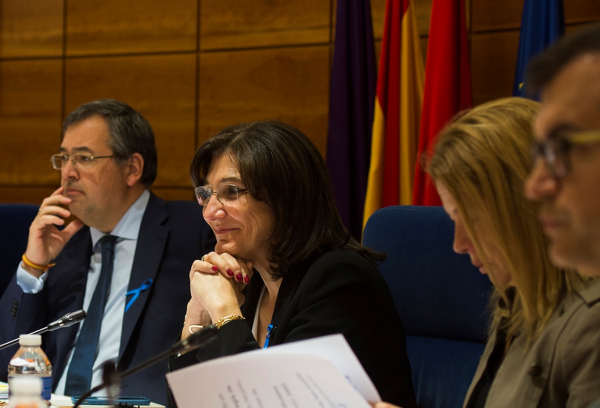 Pleno del mes de mayo de 2018