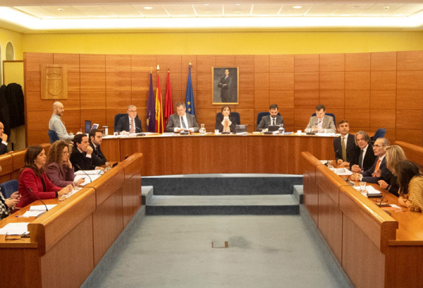 Pleno del mes de febrero